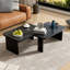 Ensemble de tables basses 2 pièces-1260347047