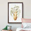 A Velodona Octopus by Carl Chun - Framed Print-55457282-55457291