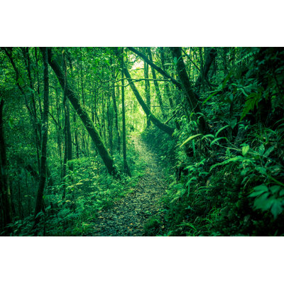 Green Jungle - Wrapped Canvas Print