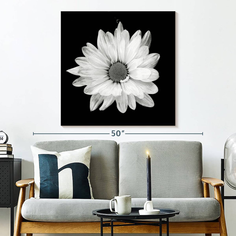Harnek BW - marguerite blanche