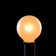 Raposa Outdoor 100 - Bulb 100'' Plug-in Globe String Light