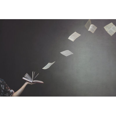 Miraldina «Flying From A Book» par Fcscafeine
