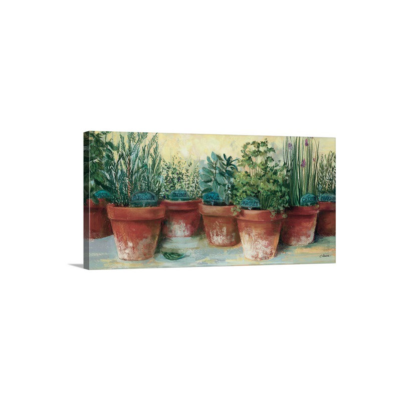 « ii » par carol rowan print Potted Herbs, 30 po H x 60 po l x 1,5 P, Toile