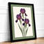 Irises in Violet Botanical - Framed Print-62365705-62365706