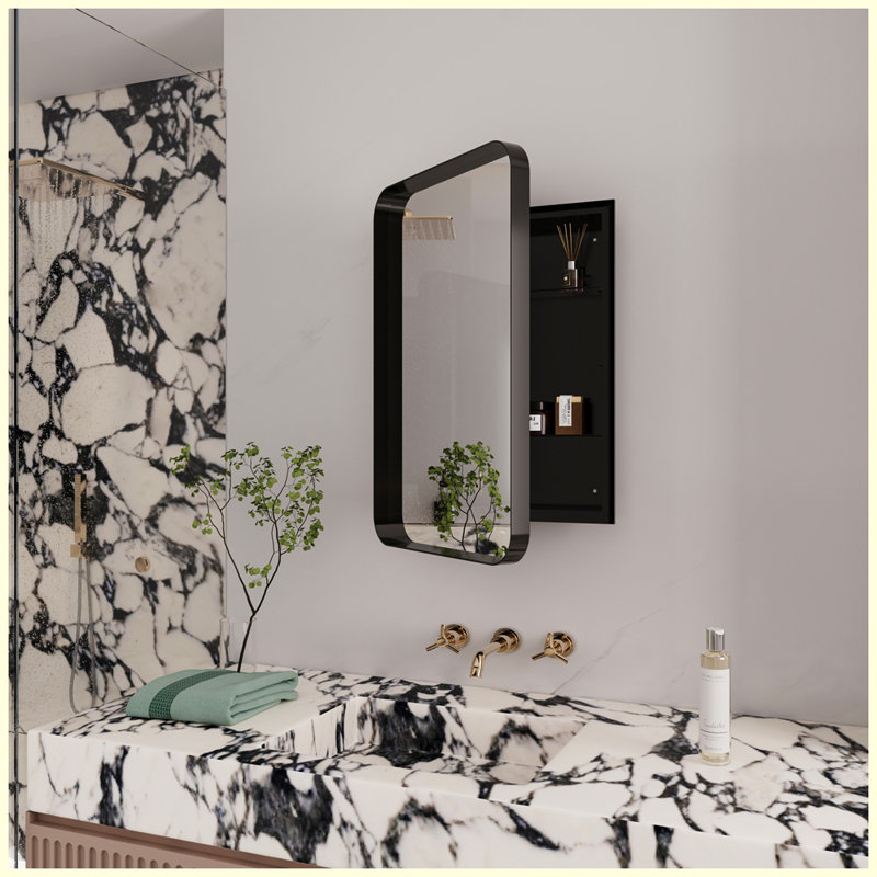 Modern Metal Framed Cabinet with Mirror and Adjustable Shelves, Matte Black