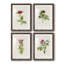 Pretty Pink Botanicals II - ensemble de 4 reproductions de cadres photo-1342891447-1342891403