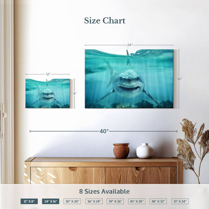 Brampt Predatory White Shark, 16" H x 24" W