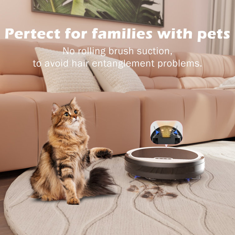 4000pa Max Power Suction Robot Vacuum and Mop Combo - Wi-Fi App and Voice Control, 2-in-1 Cleaning, Scheduled Tasks, Automatic Recharge, Pet Hair and Low Carpet Friendly, Advanced Navigation, Quiet Operation