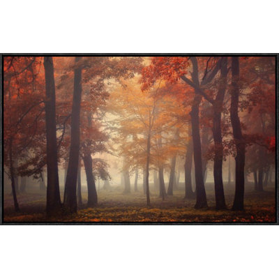 " Feel " by Ildiko Neer