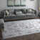 Jameel Indoor Rug
