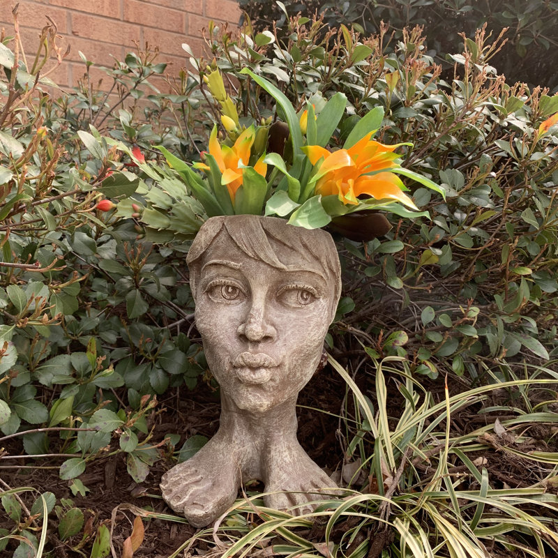 Pot à fleurs Muggly's Aunt Tia Maria, Brun