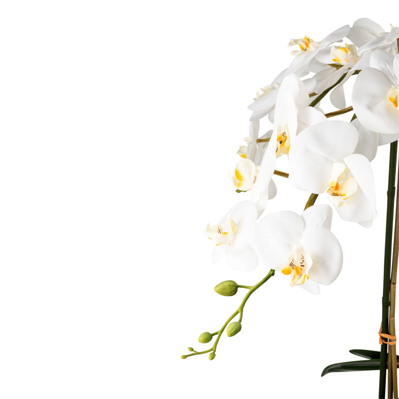 Arrangement Abella RealTouch Orchid, Blanc