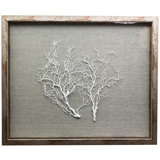 Sealife Print