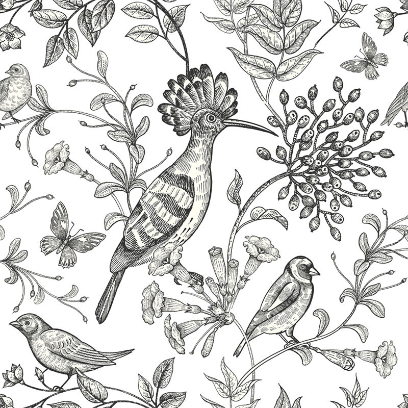 Canario Matte Wallpaper Roll, 250 x 250cm