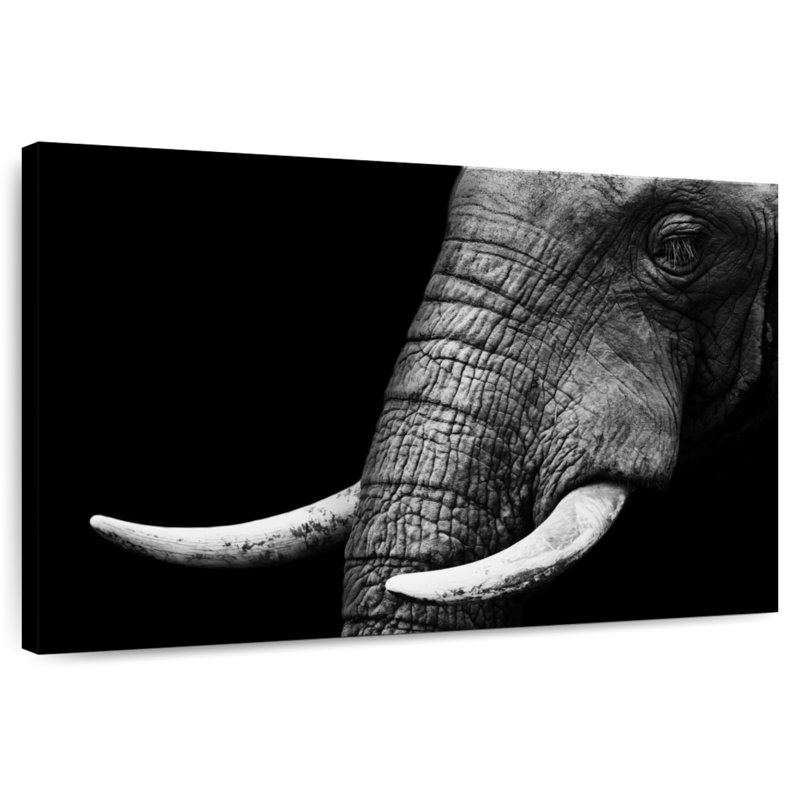 Brampt Elephant Close Up, 30" H x 45" W