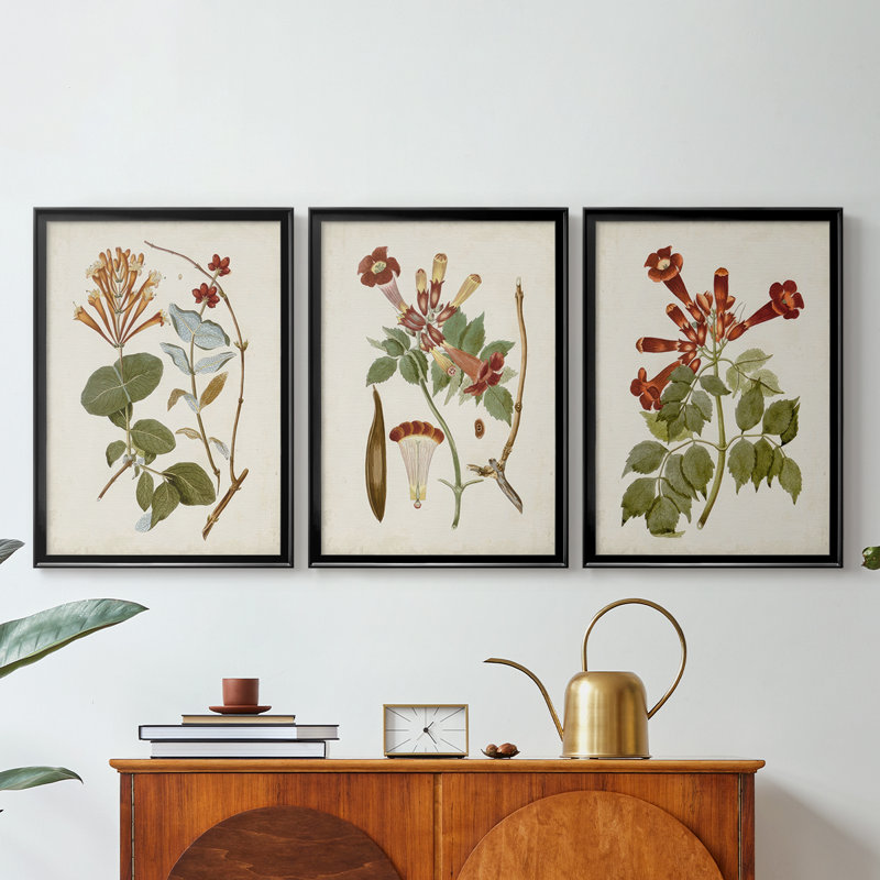 Vintage Flowering Trees IV - Toile tendue avec châssis sur mesure - 3 pièces, H 19 po x l 27 po, Noir
