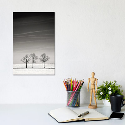 Troika 1 Piece Wrapped Canvas Wall Art