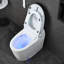 Toilettes intelligentes conformes aux normes ADA avec siège chauffant, bidet intégré, séchoir à air chaud, ouverture automatique du couvercle, télécommande, veilleuse, entraxe de 30,5 cm (12 po).