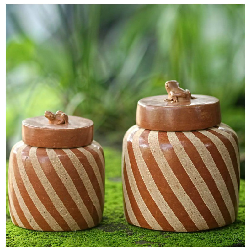 Ensemble de pots de rangement 2 pièces Lucky Frogs