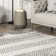 Akimasa Southwestern Gray/Ivory Area Rug