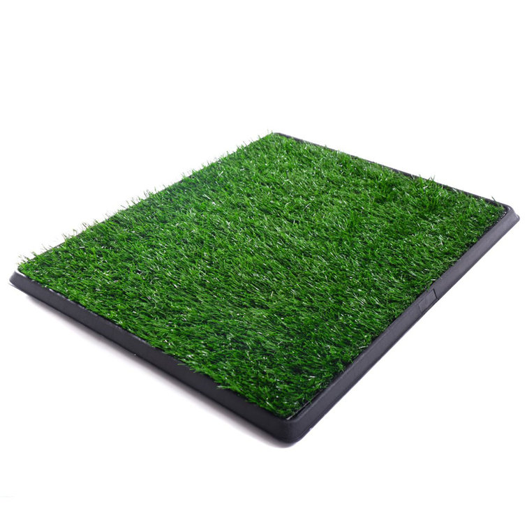 https://assets.wfcdn.com/im/43722166/resize-h755-w755%5Ecompr-r85/2359/235911017/Dog+Grass+Large+Patch+Potty%2C+Artificial+Dog+Grass+Bathroom+Turf+For+Pet+Training%2C+Washable+Puppy+Pee+Pad%2C+Perfect+Indoor%2FOutdoor+Portable+Potty+Pet+Loo.jpg