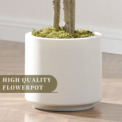 6FT Artificial Black Olive Tree - 180cm Tall, 3 Trunks 1260 Leaves in 26.5cm White Pot with Moss, Realistic Faux Indoor Plant for Modern Home & Office Decor