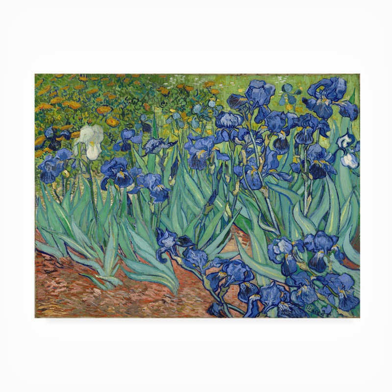 Agra All-Weather Canvas Plants & Flowers Wall Decor, 47" W x 35" H