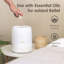 3-in-1 Compact Humidifier - 0.5 Gallon with Sleep Support Light & Aroma Diffuser