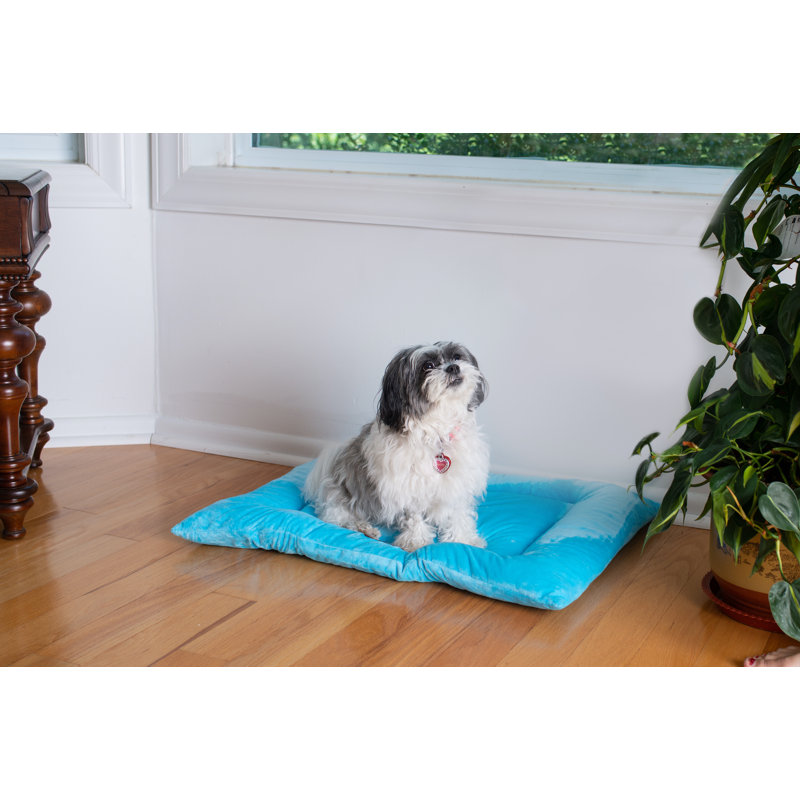 Large Sky Blue Velvet Pet Bed Mat with Padded Border
