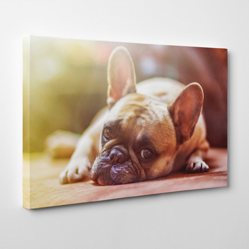 Wrapped Canvas Print, 50cm H x 76cm W