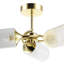 Glass Semi Flush Mount-1638498378