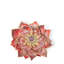 Dahlia Bloom Objet