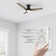 Elegis 44'' Ceiling Fan with LED Lights