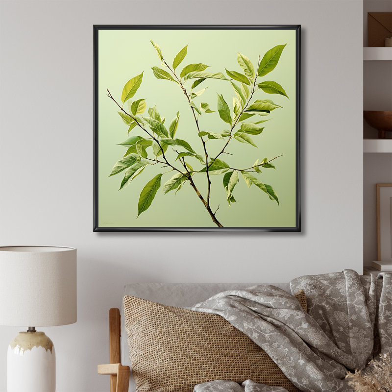 «Green Ferm Simple Collage I», reproduction sur toile, Cadre flottant noir, H 36 po x l 36 po x P 1,5 po