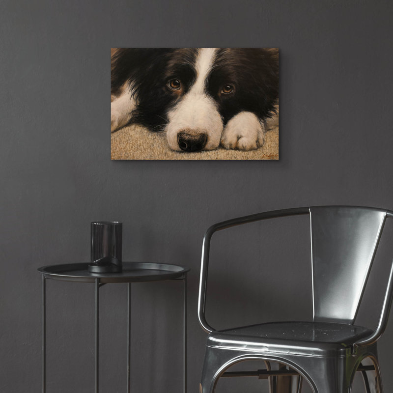 «Border Collie Love» par John Silver, H 16 po x l 24 po