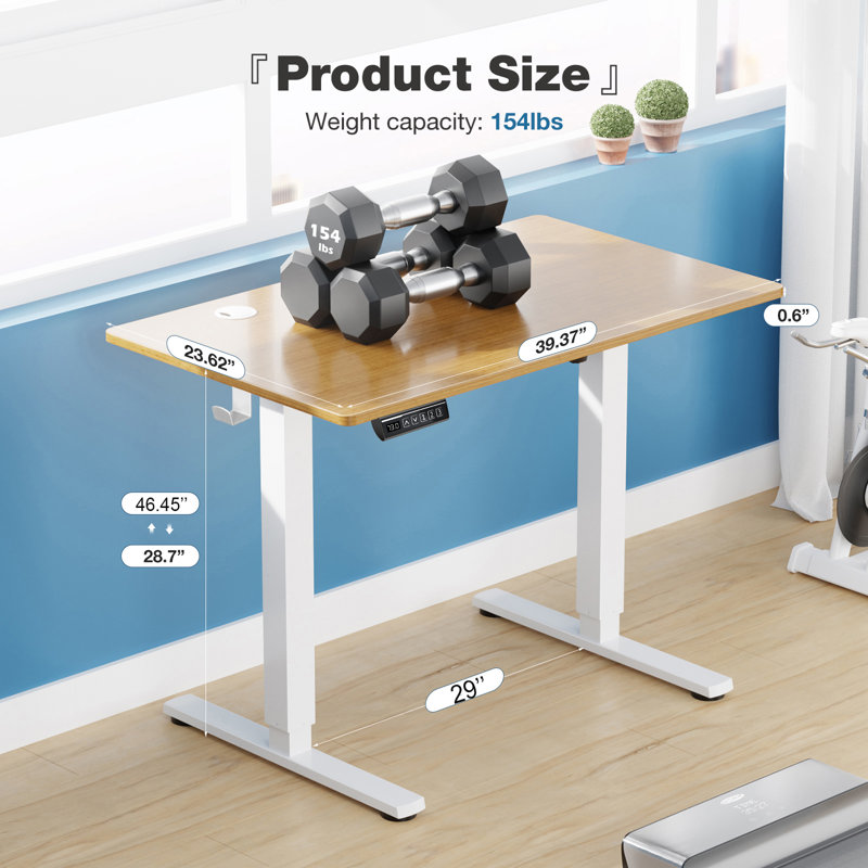 Koree Standing & Height-Adjustable Desks, Natural/White, 46.46'' H x 40'' W x 23.62'' D