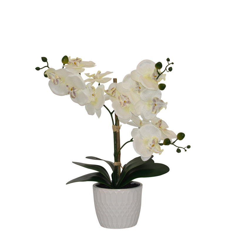 Arrangement floral orchidée de bureau dans un vase, Blanc