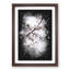 Branch of a White Cherry Blossom Tree - Picture Frame Painting Print-56842865-56842864