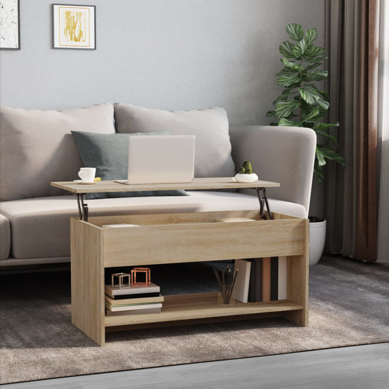 Jarosłav Frame Coffee Table with Storage, Light Brown