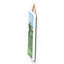 Wall Decor-1067430263