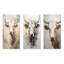 Beau portrait de bovin beige-453215558-453215553