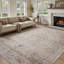 Tapis oriental gris doux lavable à la machine pour le salon, la chambre à coucher-68077952-87614169
