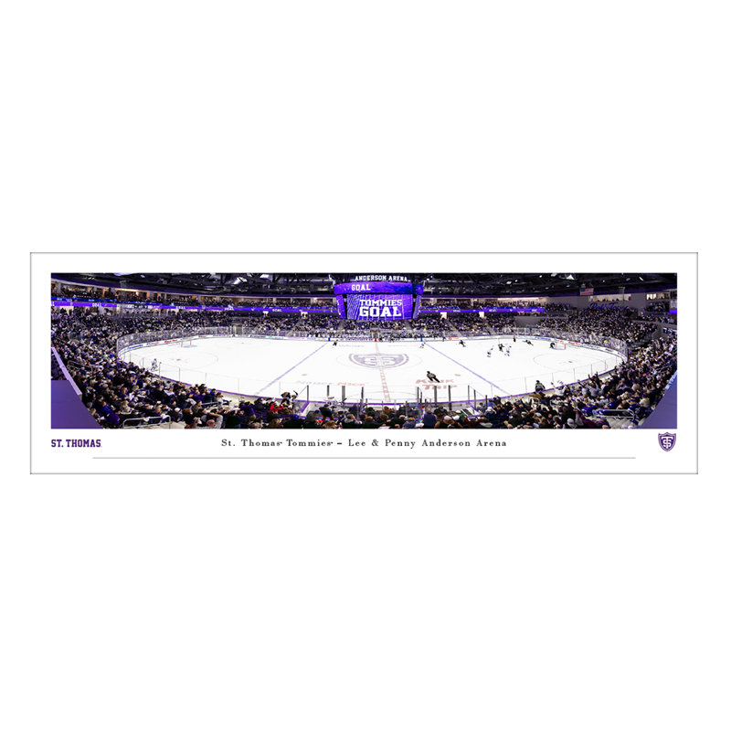 Hockey St. Thomas Tommies - sans cadre