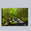 «Where the Green Grows» par Darren White, art mural sur toile-16271703