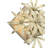 Kialey Armed Sconce