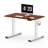 Dojtcho Home Office Adjustable Standing Desk-62270595-113909856
