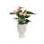 Silky White is out of stock
