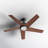 Hensley 54'' Ceiling Fan with LED Lights-1231090154