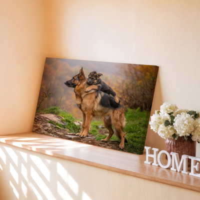 German Shepherd Dog Puppy Riding On Adult Dog Outdoors Canvas Wall Art Print For Living Room, Bedroom, Office, Hallway, Entryway, Gallery Wall And Modern Home Decor