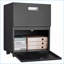 Cabinets: Armoire de reproduction mobile en acier à 2 portes, support d'imprimante noir avec tablette réglable | Moderne | Bureau